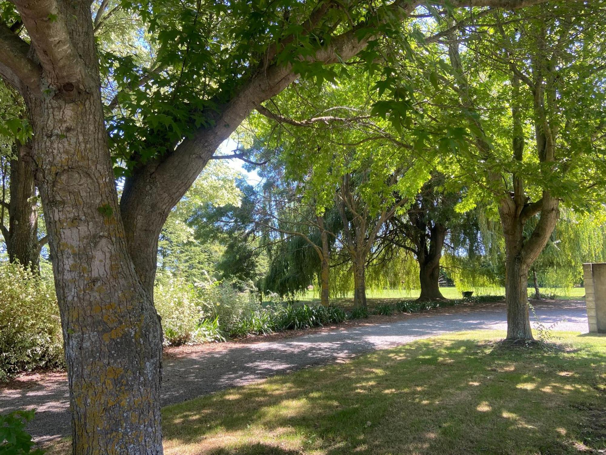 Fairhall Guest Lodge Woodbourne Bagian luar foto